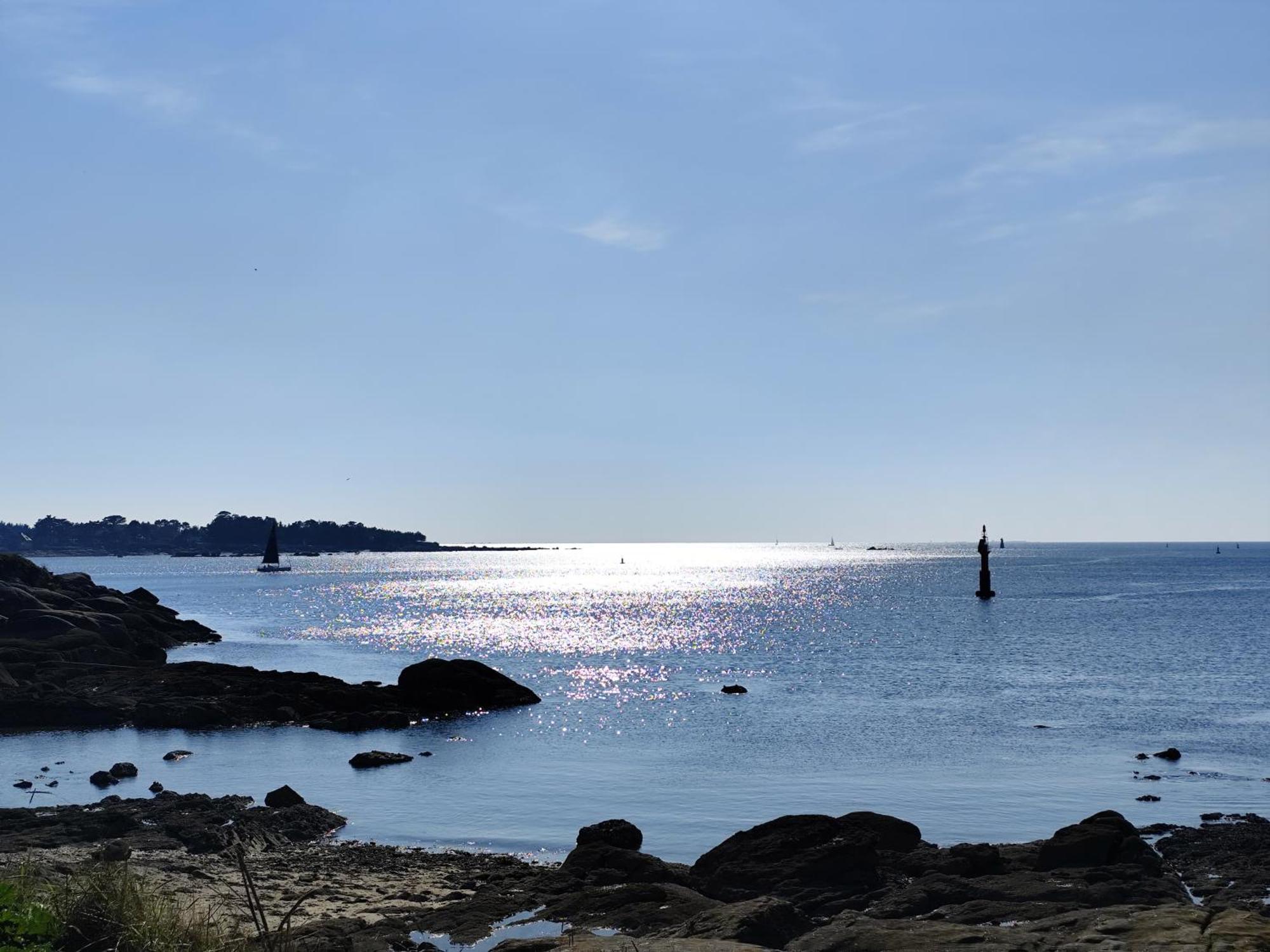 Les Reflets De Rivage Avec Garage Privatif - 350M Plage Concarneau Exterior photo